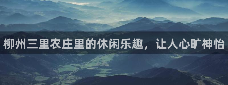 金年会体育金年会官网
