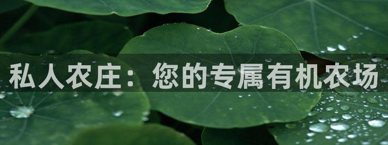 金年会首页登录