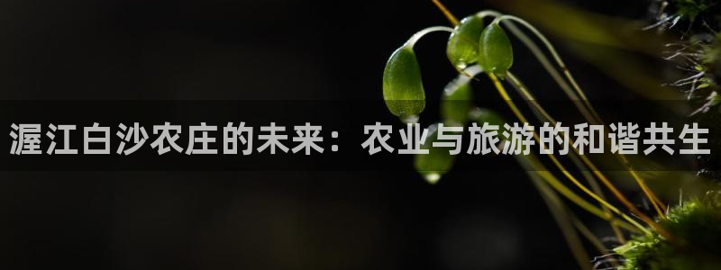 金年会官方网站入口