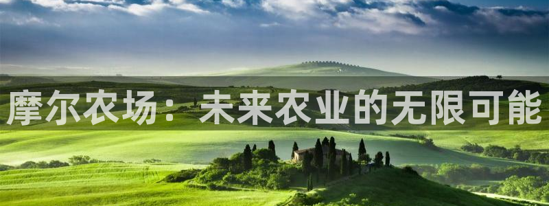 金年会平台包赔