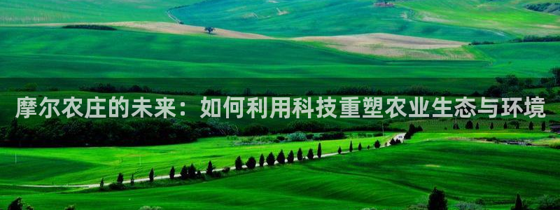 金年会赞助西甲