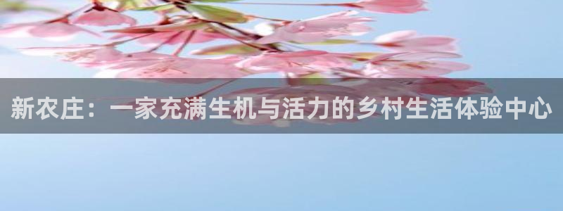 金年会平台包赔