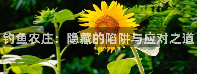 金年会体育官方网站入口