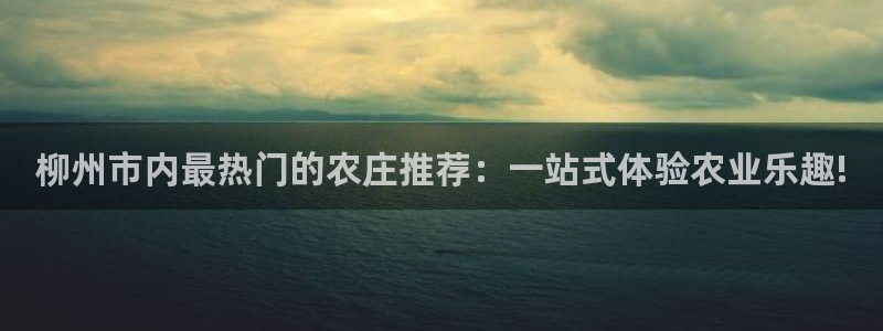 金年会娱乐