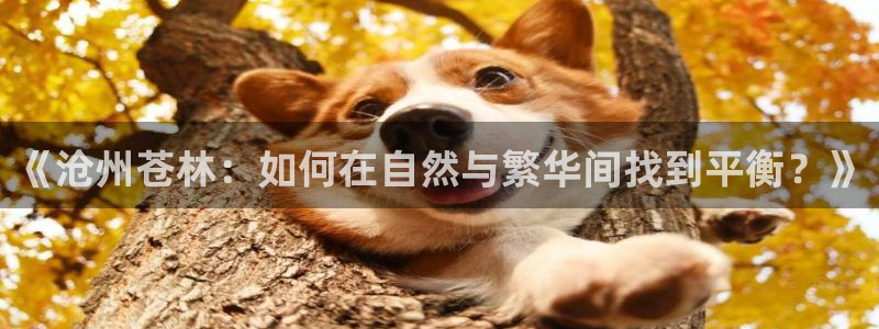 金年会最新登录网站