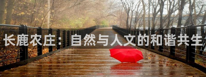 金诺利年会