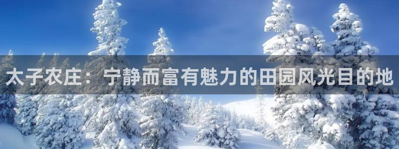 宝金年会