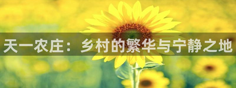 世界杯金年会app下载