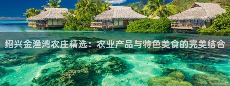 金年会.cc