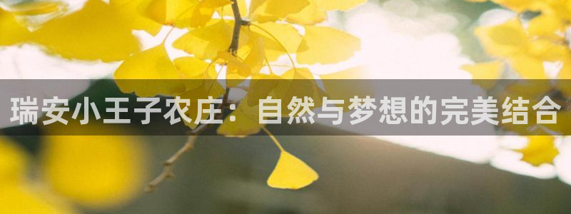 金年会娱乐和马竞