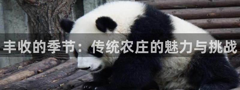 金年会活动策划