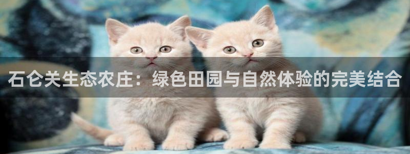 陆金所 年会