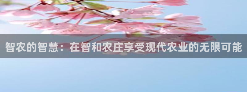 金立年会
