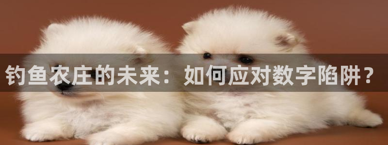 金年会体育平台官网