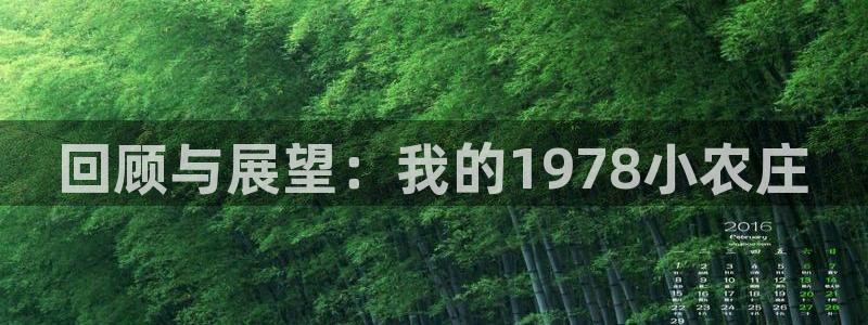 世纪金源年会