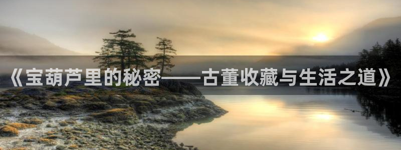 金年会在线登录