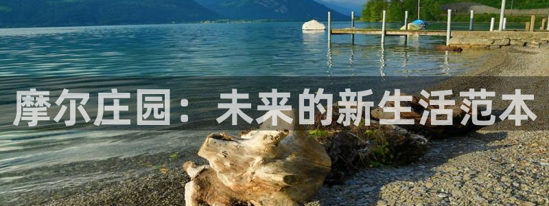 金年会体育平台