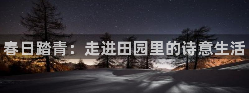 金年会入口网站