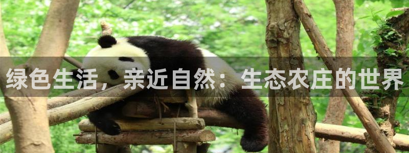 金年会体育在线登录