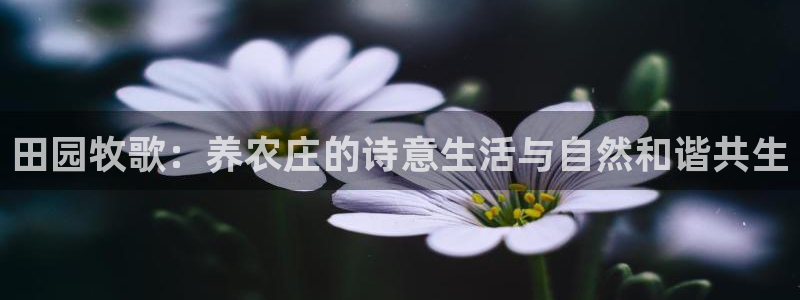 金年会体育下载app
