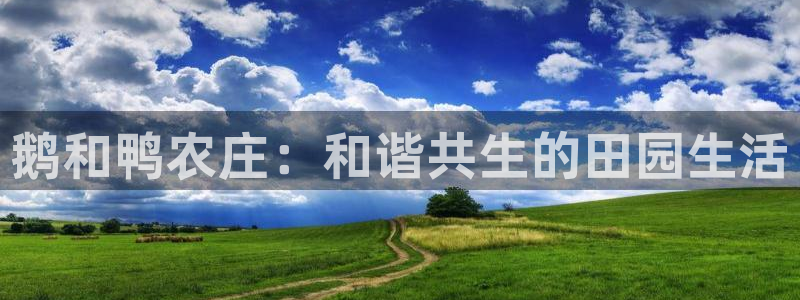 金年会信誉