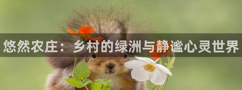 金年会网官网新版