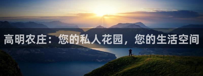 金年会退款