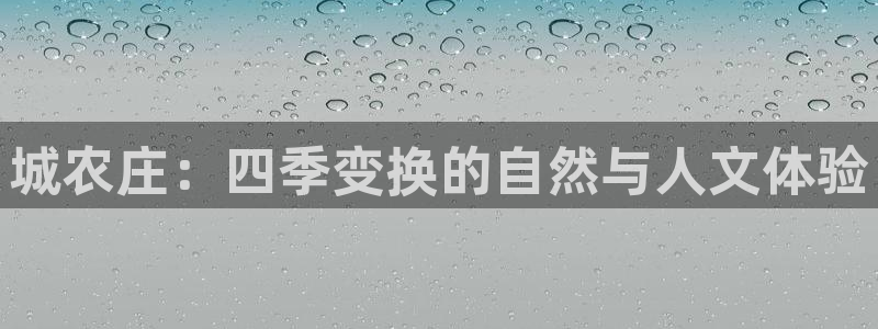 金年会活动策划