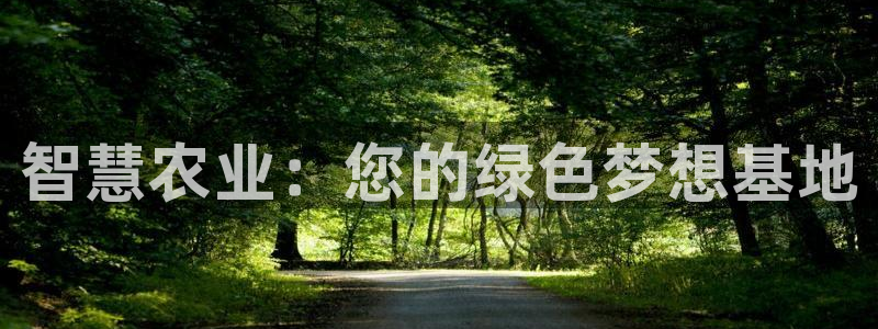 金年会平台是真的吗