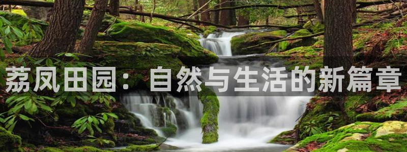 金年会金字招牌至上