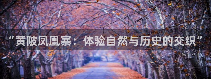 金年会app下载官网