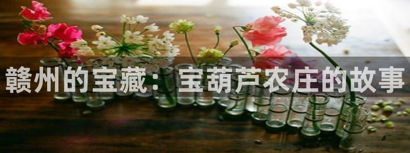 金年会体育平台在线登录