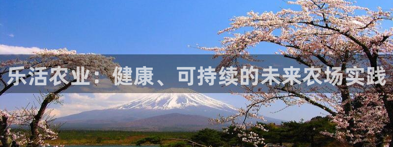 金年会体育娱乐