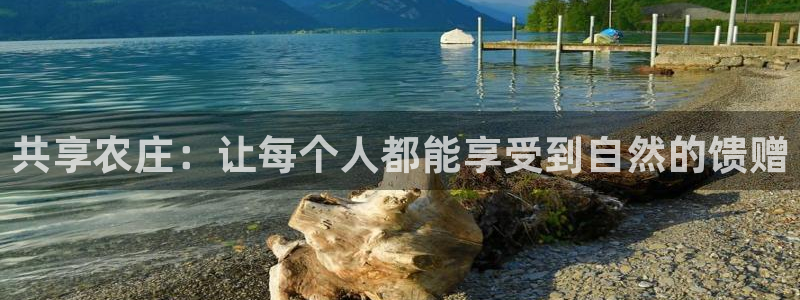 金年会APP安装下载