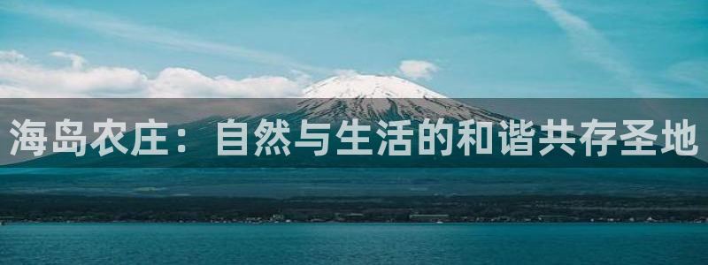 金年会体育下载