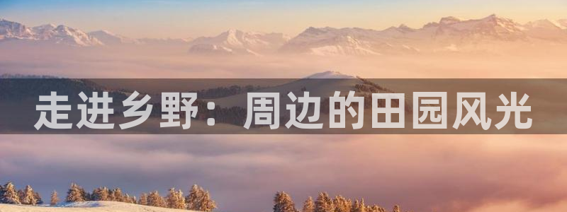 金年会入口网站