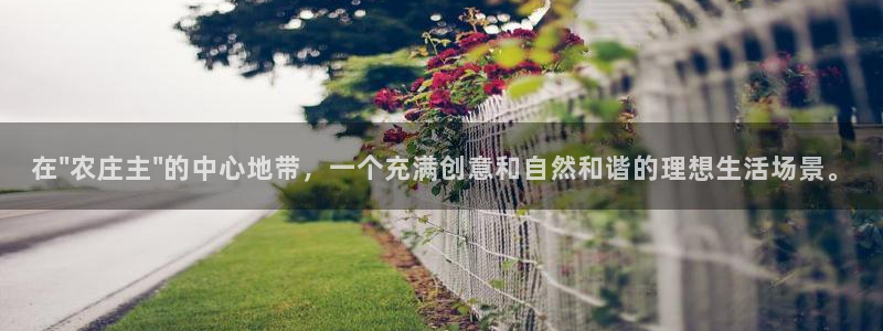 金年会这个平台