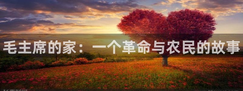 金年会平台是真的吗