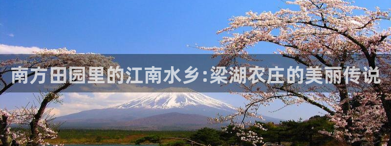 金年会软件在线下载