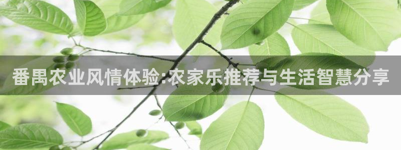 金年会手机登录