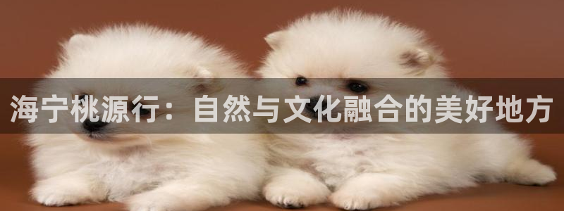 金年会网登录平台入口