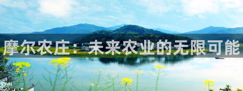 金年会最新官网