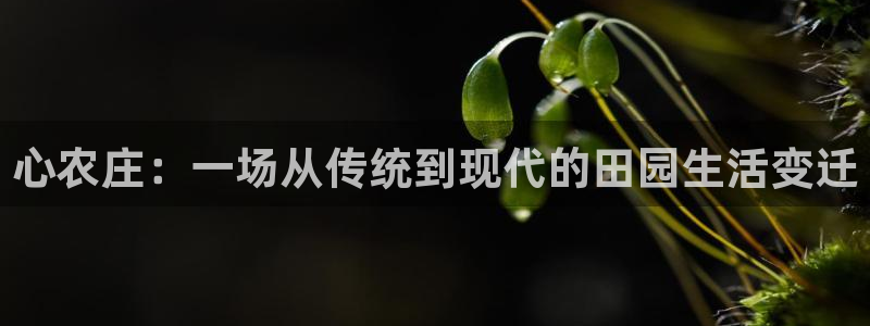 金年会彩票网址下载