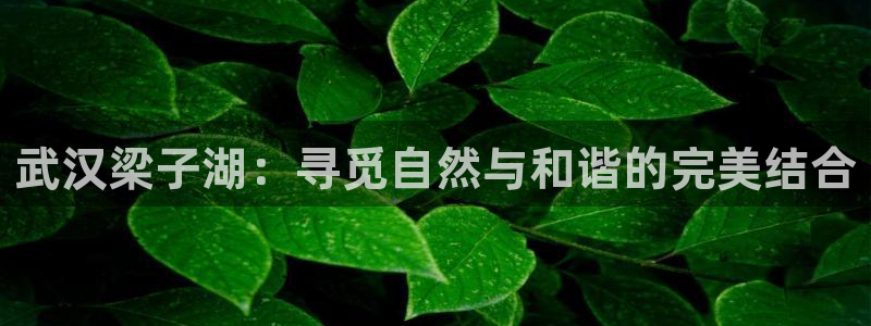 金年会首页登录