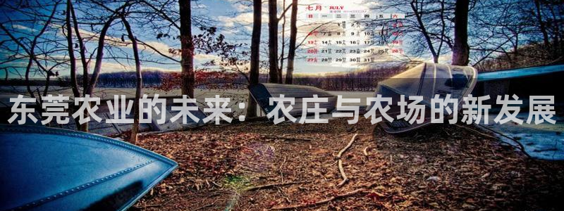 金年会平台出款