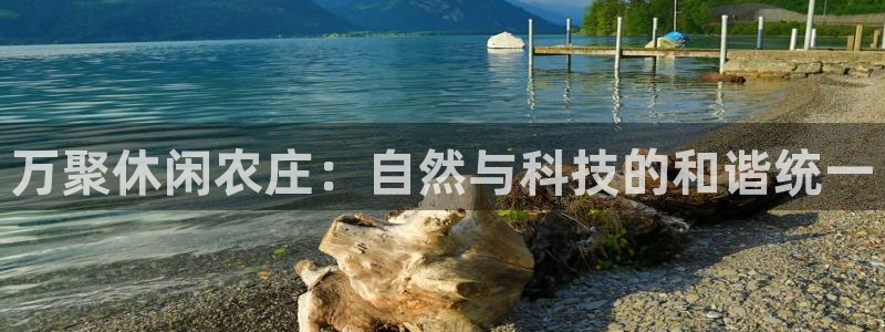 金年会娱乐官网