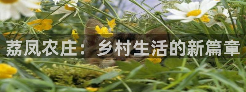 金年会网页版登陆