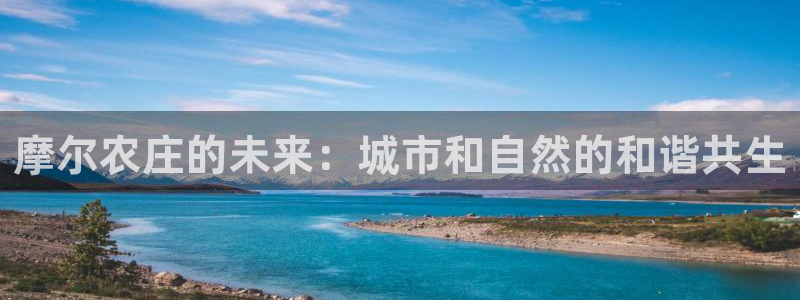 金年会体育在线登录