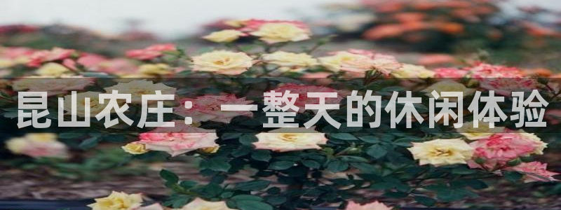 金年会体育官方