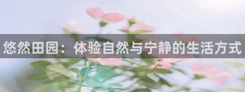 金年会软件在线下载